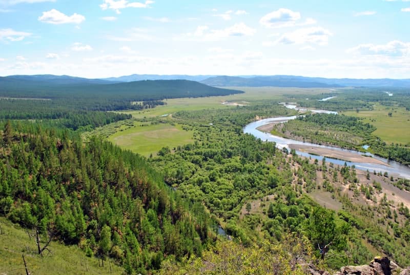 Forestry / Billion Trees